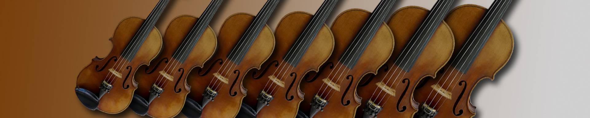 Metodología Suzuki Metodología Suzuki